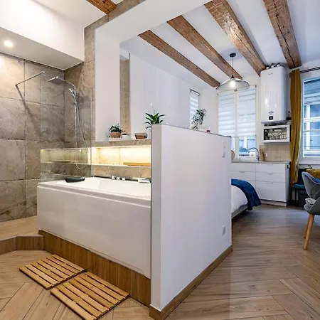 Apartment Jacuzzi/cathedrale Straßburg